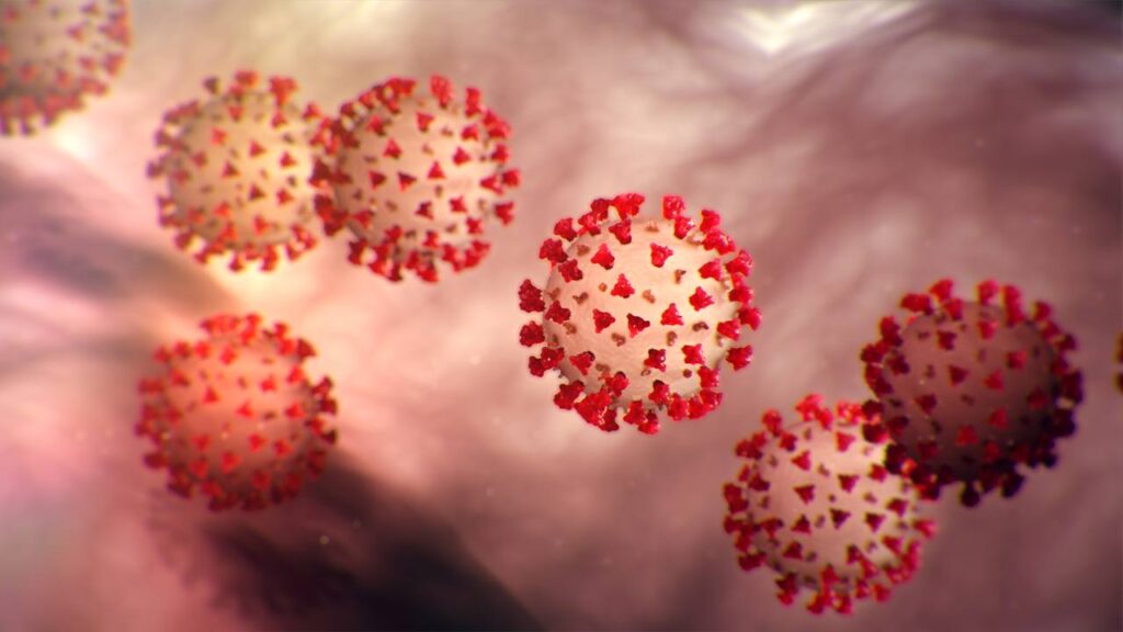 How Our Firm is Addressing Coronavirus