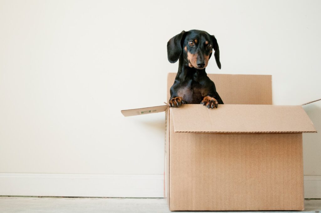 What Happens to Your Estate Plan If You Move Out of State?