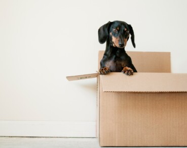 What Happens to Your Estate Plan If You Move Out of State?